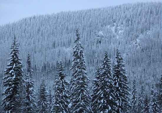 Russia Siberia Tourism