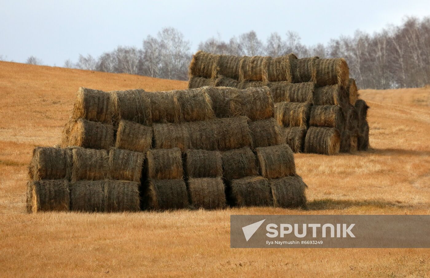Russia Siberia Tourism