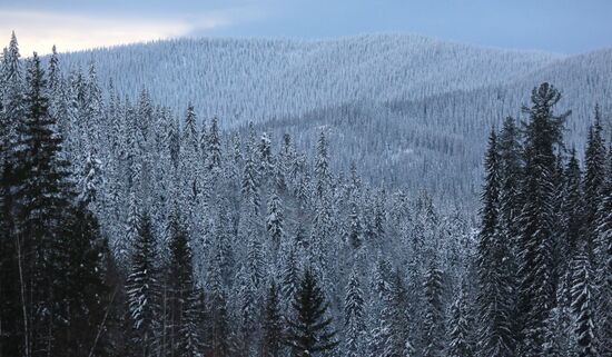 Russia Siberia Tourism