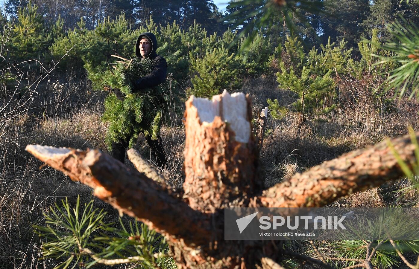 Belarus Poland Border Refugees