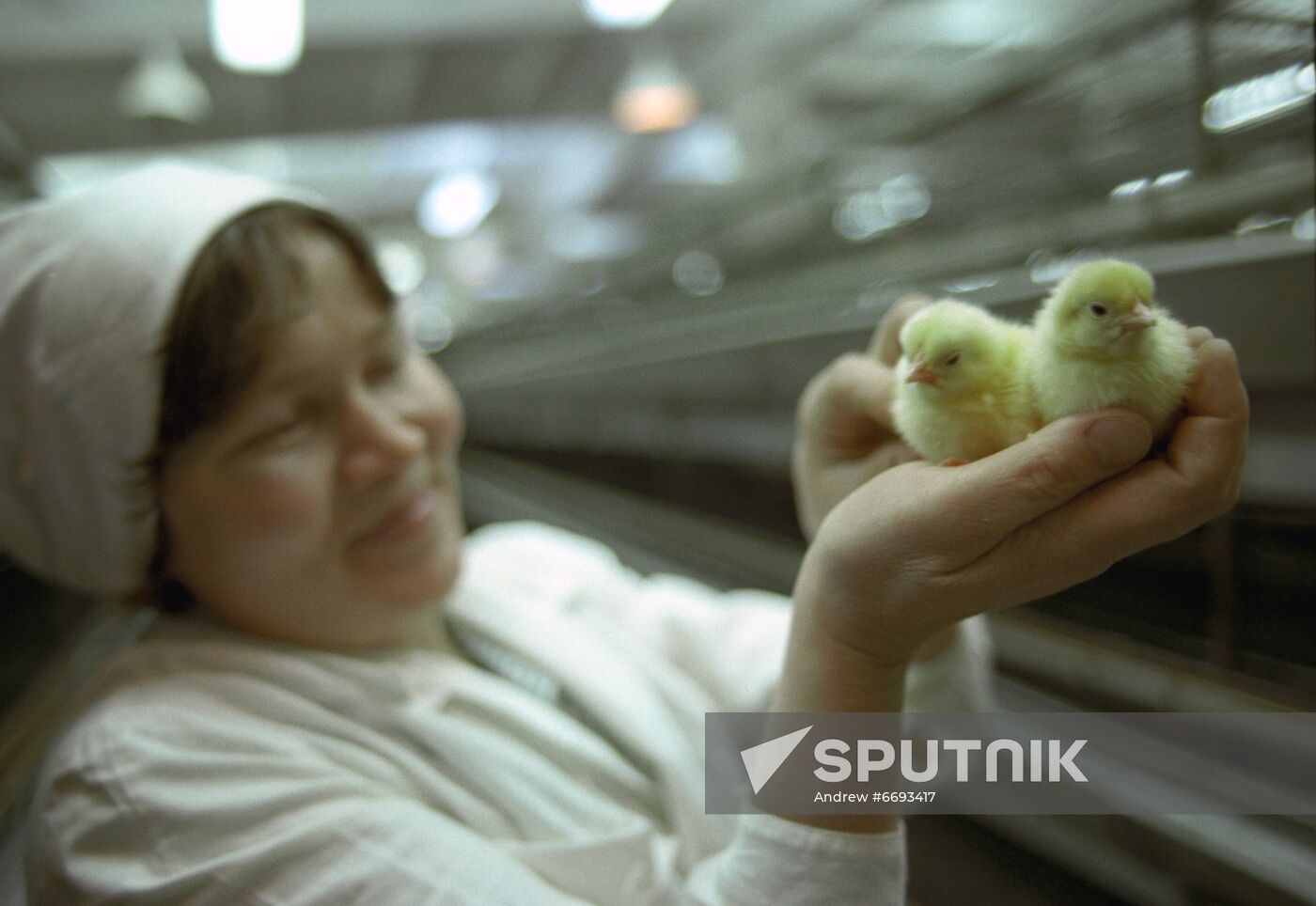 Naberezhnye Chelny poultry farm in Tatarstan