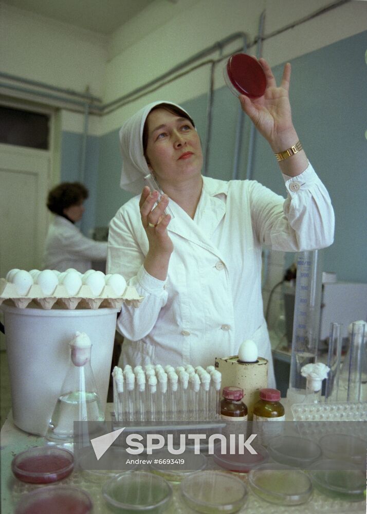 Naberezhnye Chelny poultry farm in Tatarstan