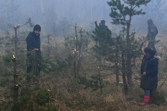 Belarus Poland Border Refugees