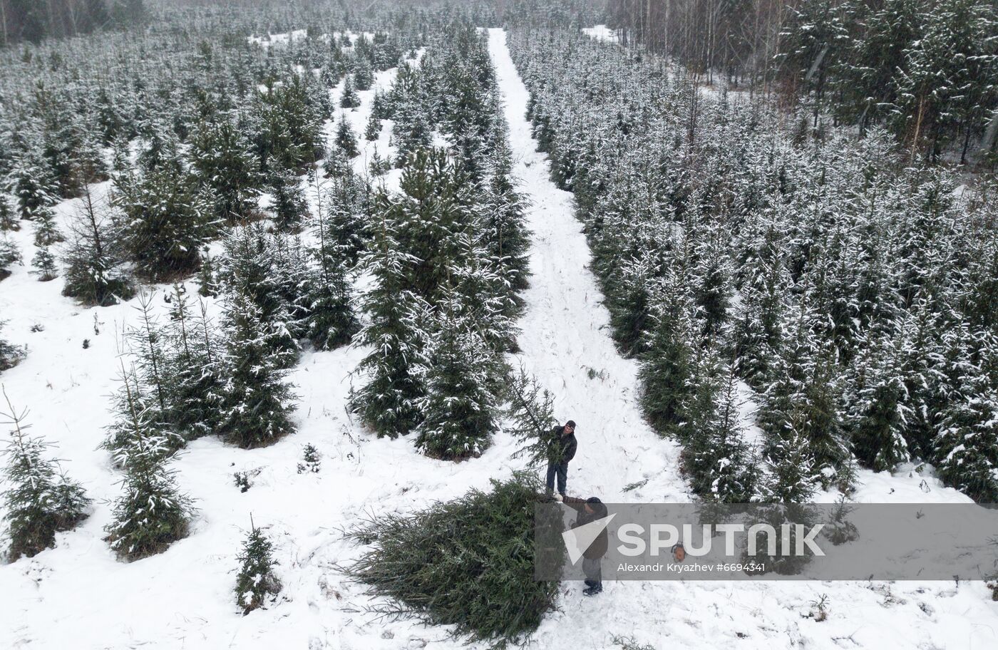 Russia New Year Festive Season Preparations