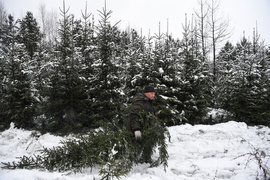 Russia New Year Festive Season Preparations