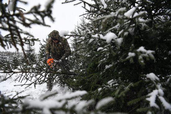 Russia New Year Festive Season Preparations