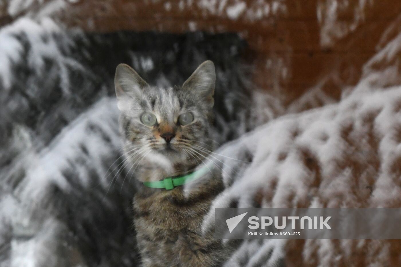 Russia Weather