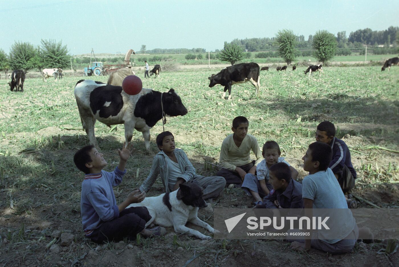 Karl Marx Collective Farm in Khorezm Region
