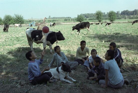 Karl Marx Collective Farm in Khorezm Region
