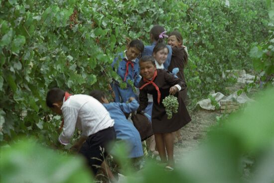 Karl Marx Collective Farm in Khorezm Region