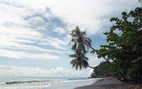 Beach on Tahiti, French Polynesia