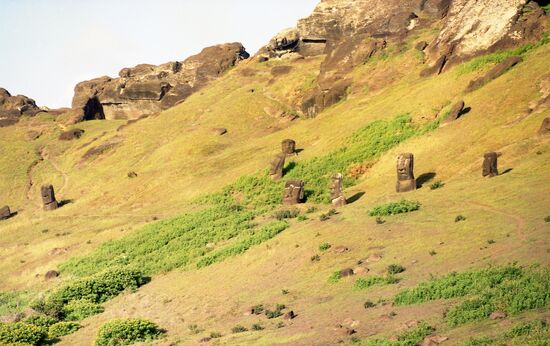 Moai statues on Easter Island