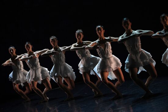 Russia Ballet Swan Lake