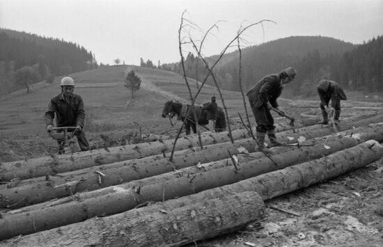 Skolevskiye Beskidy landscape reserve