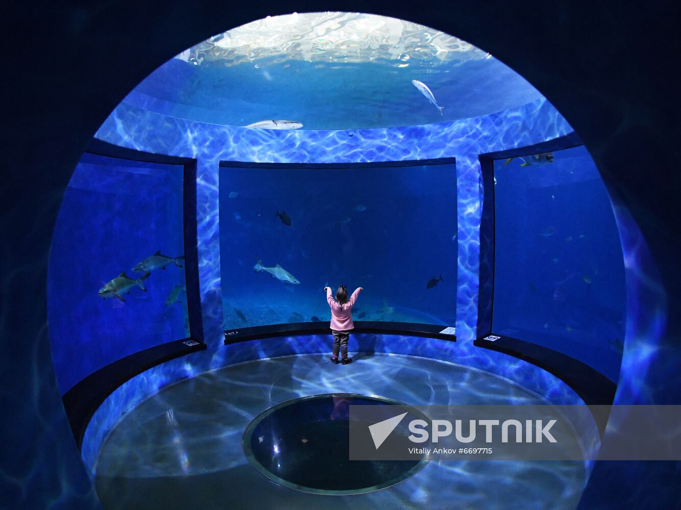 Russia Far East Aquarium