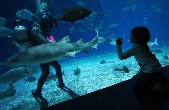 Russia Far East Aquarium