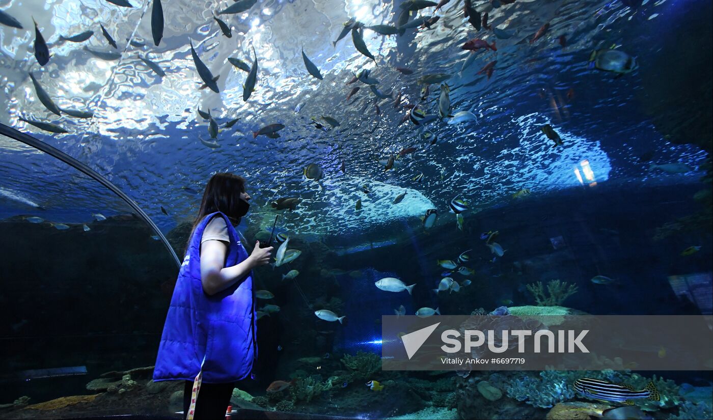 Russia Far East Aquarium