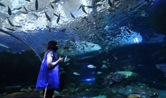 Russia Far East Aquarium