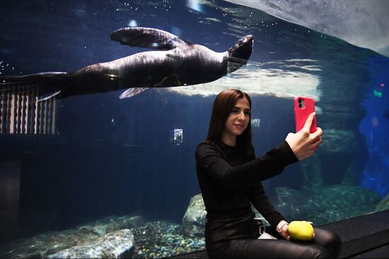 Russia Far East Aquarium