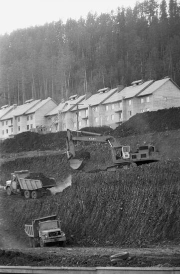 Niya town in BAM's western section