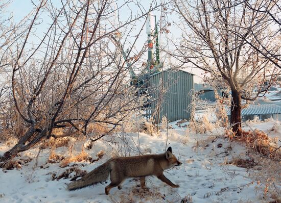 Kazakhstan Russia Space