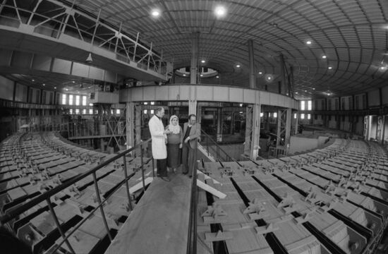 Joint Institute for Nuclear Research, USSR Academy of Sciences