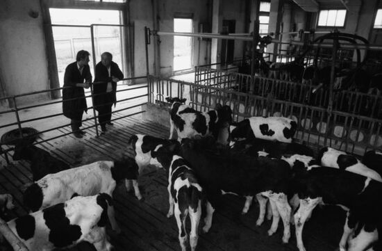 Uritsky Belorussian collective farm