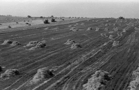 Uritsky Belorussian collective farm