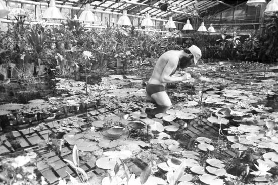 Main Botanical Garden of USSR Academy of Sciences