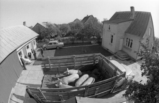 Pavasaris Collective Farm in Lithuania