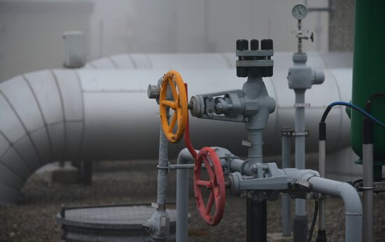 EU Russia Gas Supply