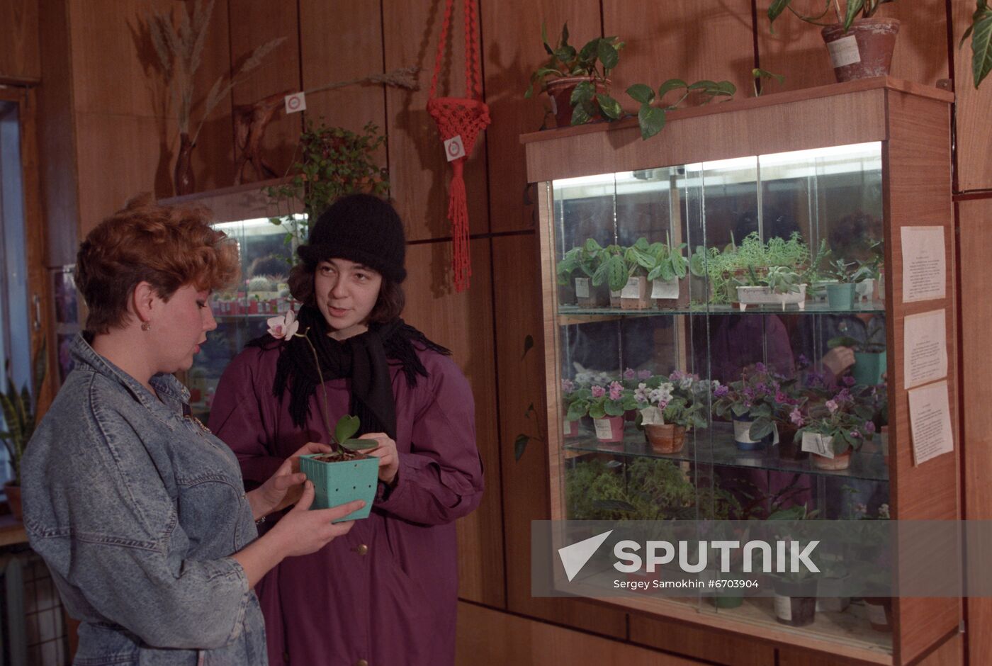 Kontinent cooperative store