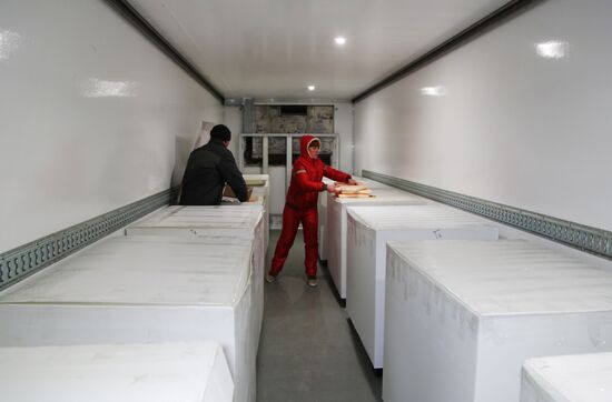 Ukraine DPR Russia Humanitarian Aid