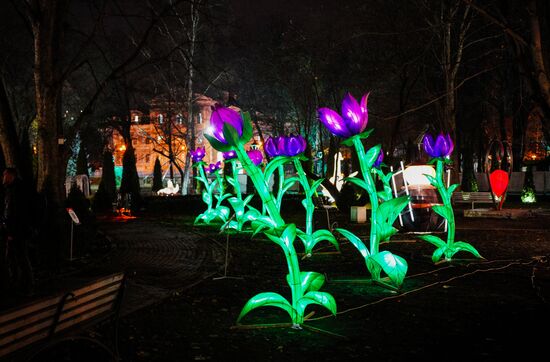 Lantern Park opens in Kaliningrad