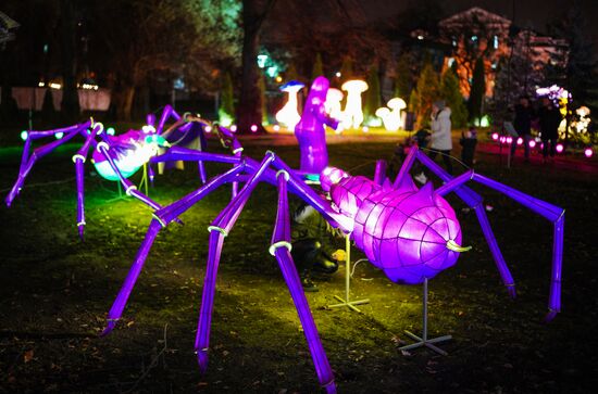 Lantern Park opens in Kaliningrad