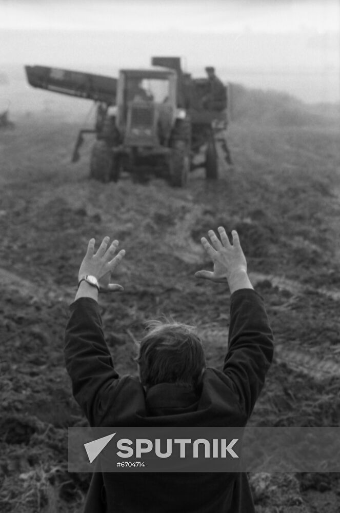Borets collective farm in Moscow Region