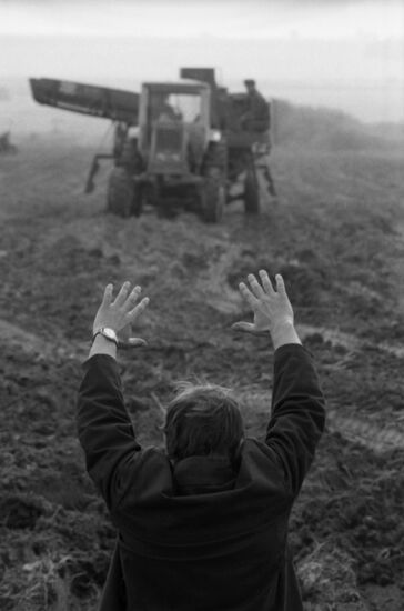 Borets collective farm in Moscow Region