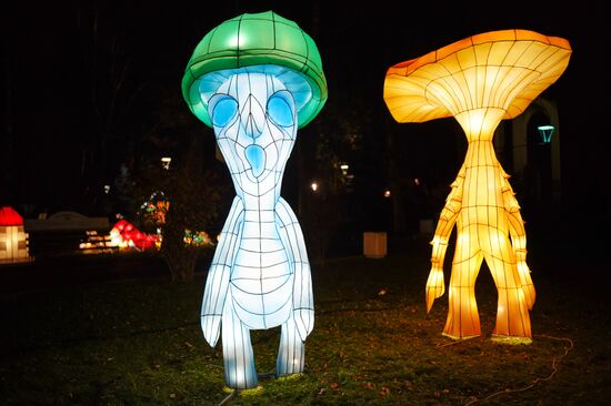 Lantern Park opens in Kaliningrad