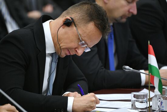 Russia Hungary Economic Cooperation Commission