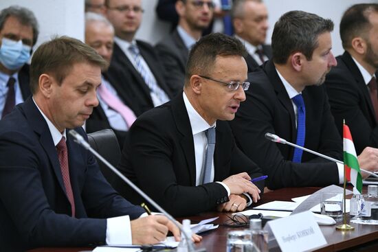 Russia Hungary Economic Cooperation Commission