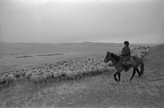 Kirov Collective Farm