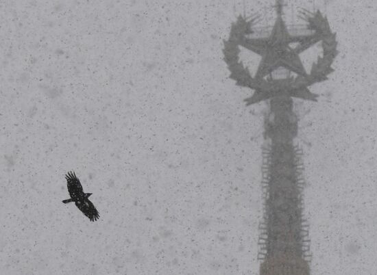 Russia Weather