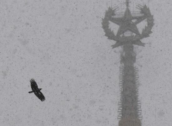 Russia Weather