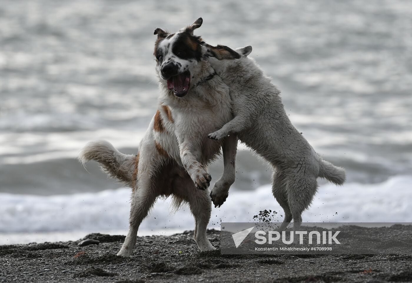 Russia Daily Life