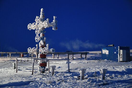 Russia Gas Arctic LNG 2 Project