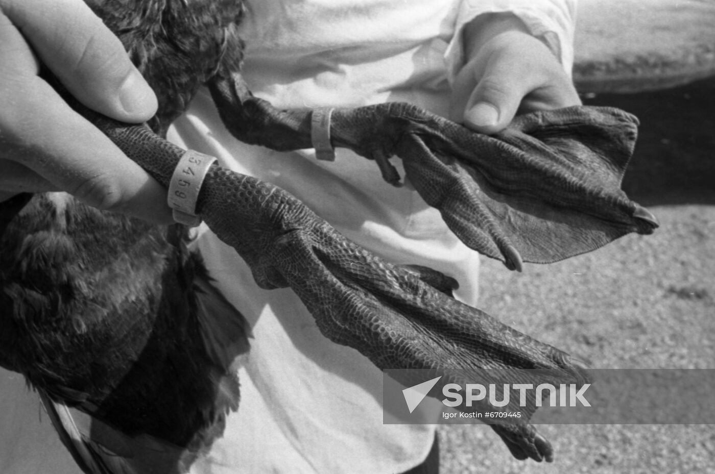 Askania-Nova State Reserve