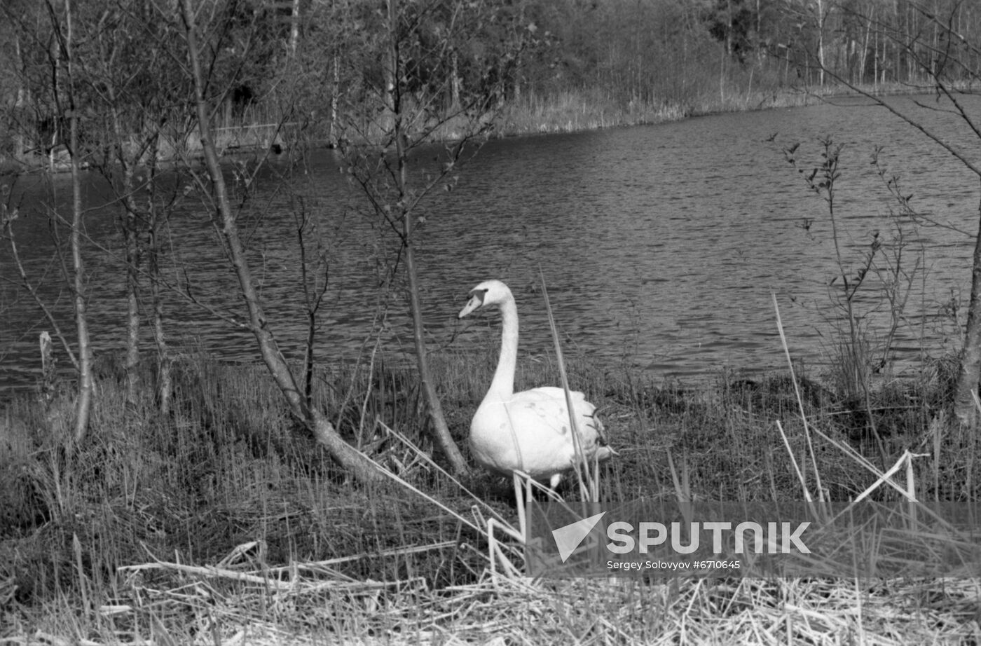 Talsi in Latvia