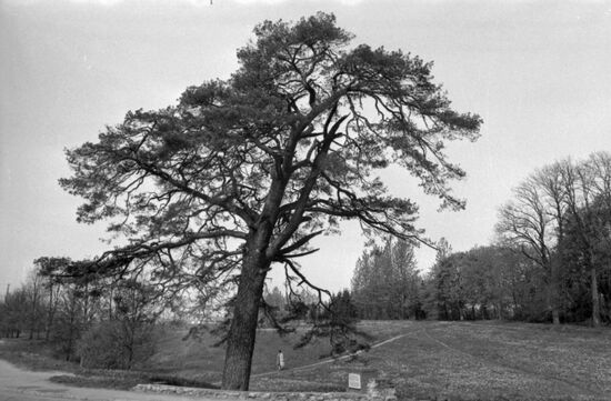 Talsi in Latvia