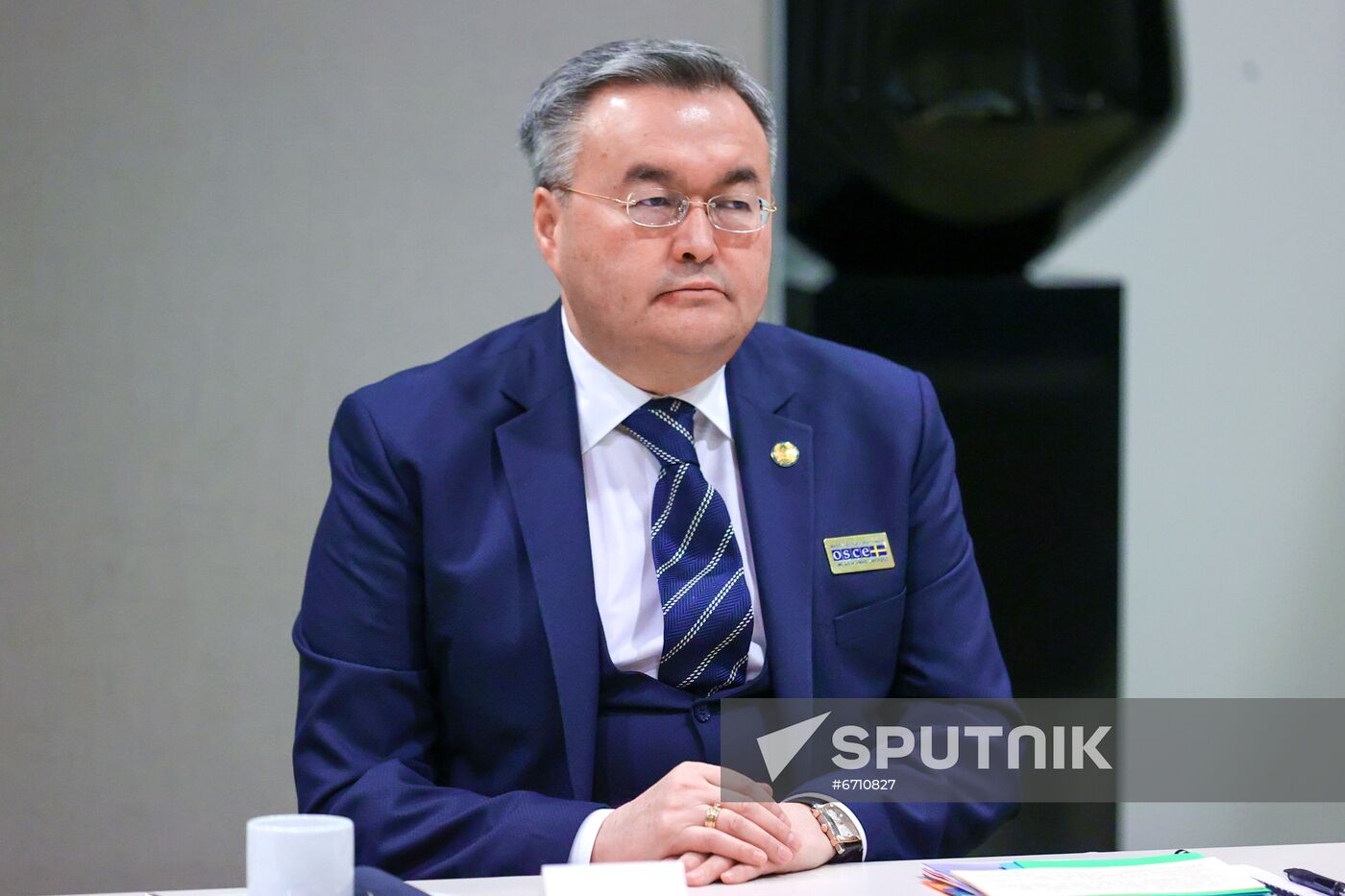 Sweden OSCE Ministerial Council