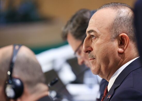 Sweden OSCE Ministerial Council